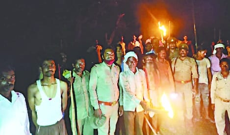 Nepalese elephants created ruckus overnight in the forest of Devipur Beet