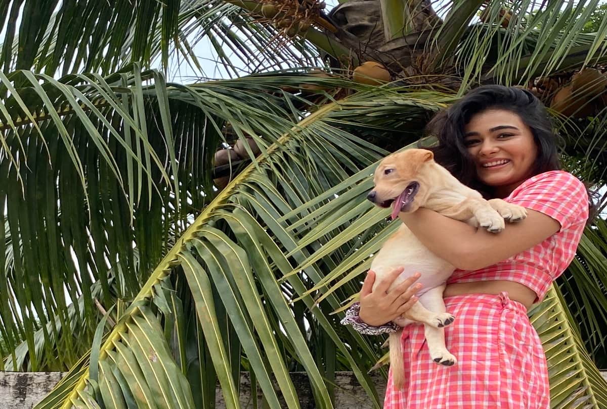 Shalini Birthday: Shalini Pandey expressed a special wish on her birthday said now I cant wait