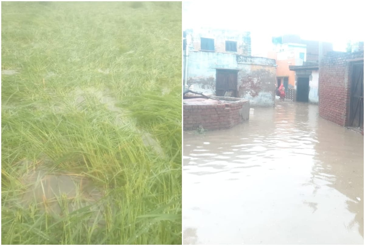 Mathura Monsoon Rain News: Heavy Rain In Mathura Water Logging In Field Loss Of Crops