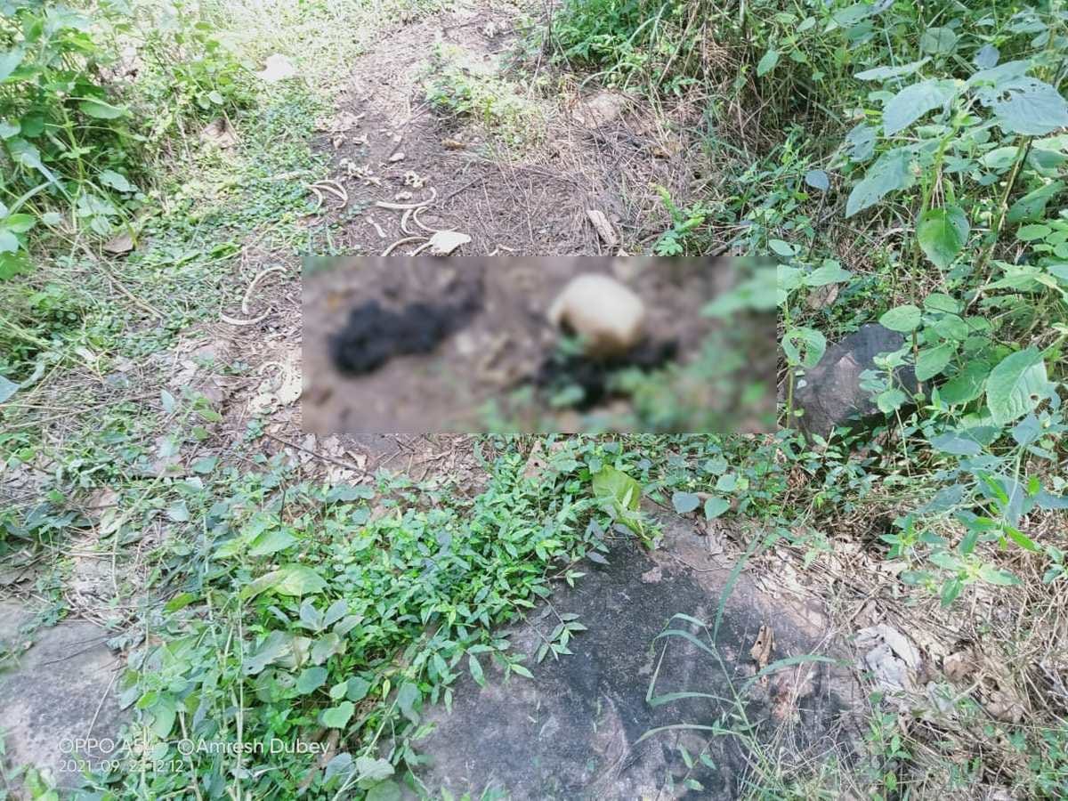 three sisters Skeletons found in Mirzapur forest Missing since 16th August