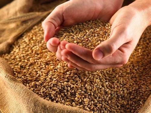 5.84 lakh families will no longer get ration for free