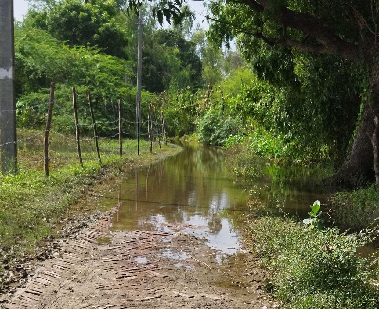 Waterlogging reduced the attendance of students by half