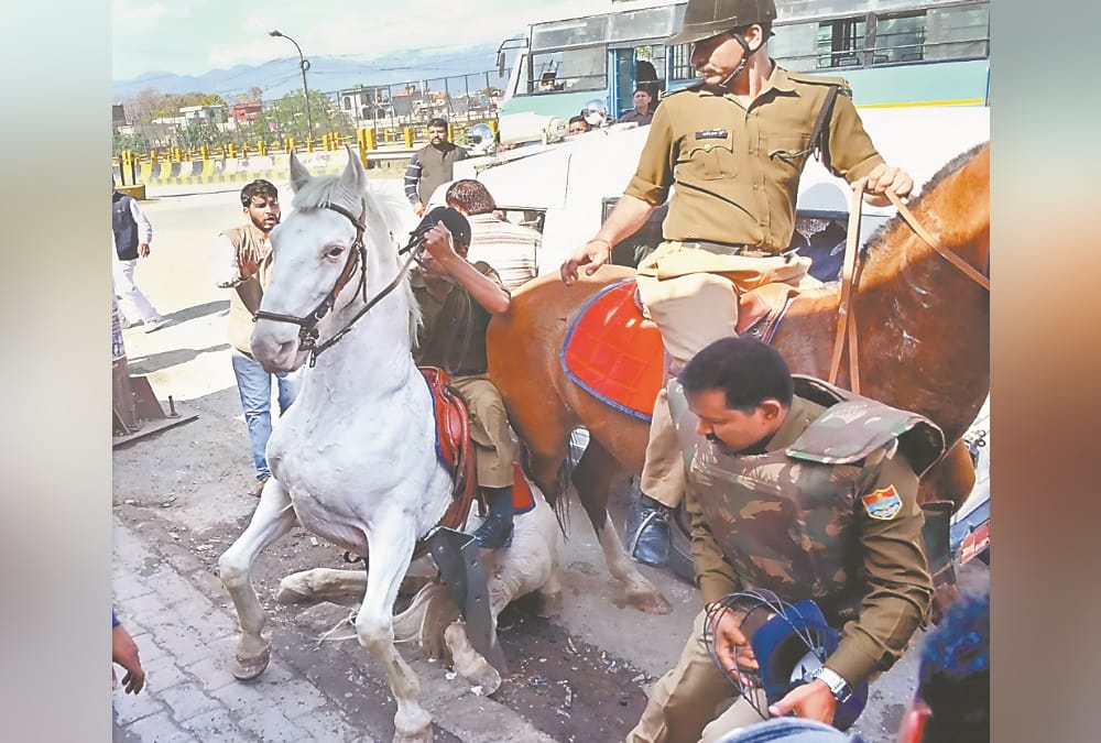 Uttarakhand Shaktimaan Case: Know About All Facts Police Horse Shaktiman Murder By Bjp Mla