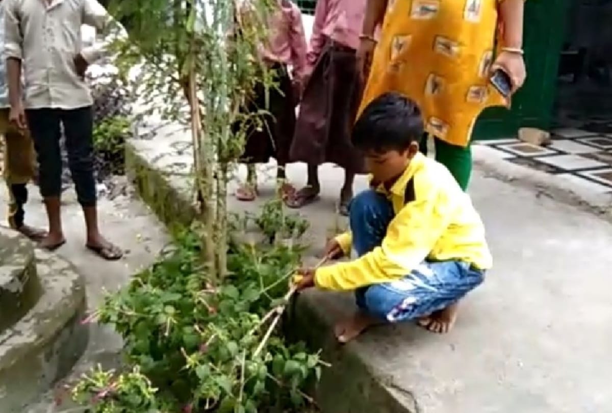 Toy Part Grass Cutter Machine made by student in deoria