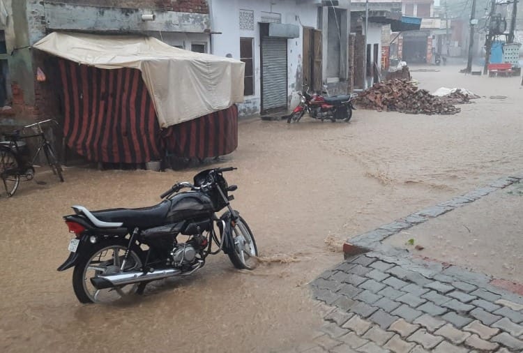 Haryana weather update: Heavy rain damage crops in many districts of Haryana