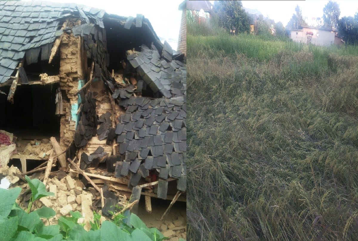 himachal weather update: Heavy rainfall recorded, 123 roads including NH closed, many houses damaged, maize and paddy crop destroyed