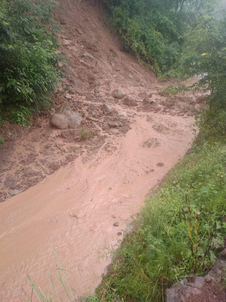 Rain and storm cause heavy damage to crops in Solan