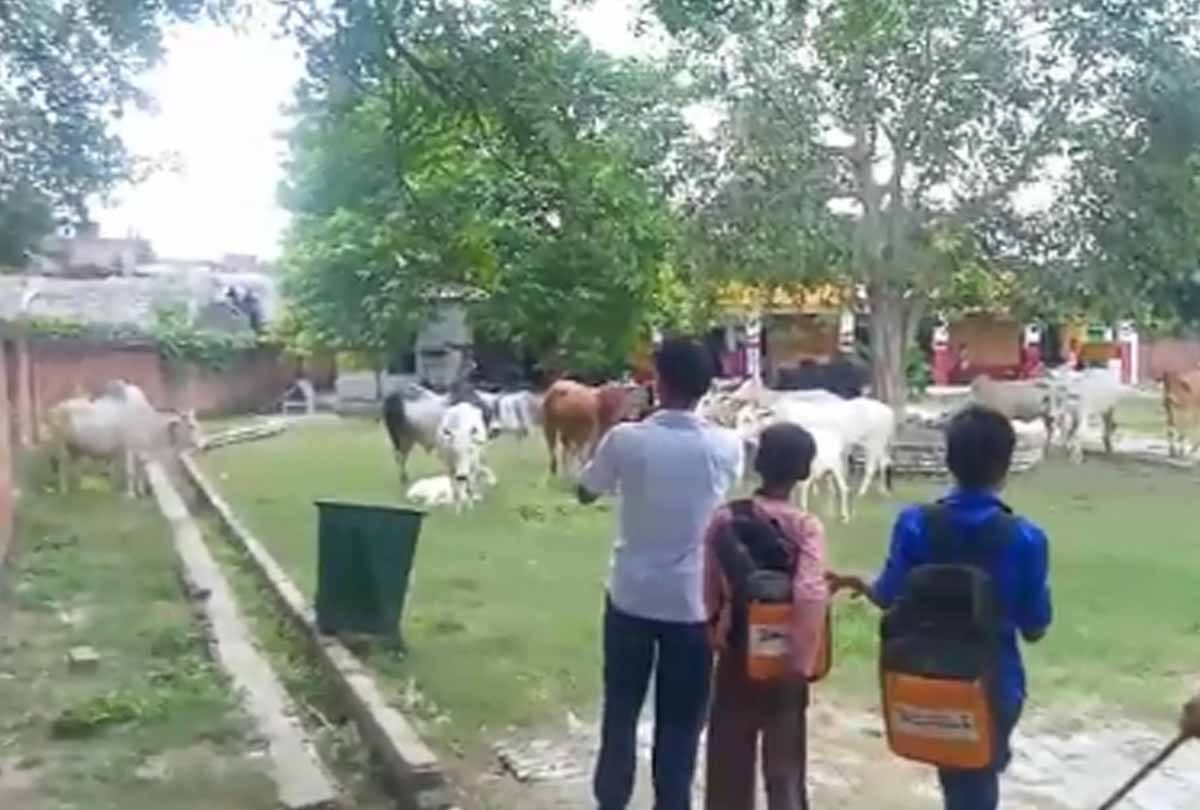 Unnao: Cattle left in the school, children ran away after saving their lives