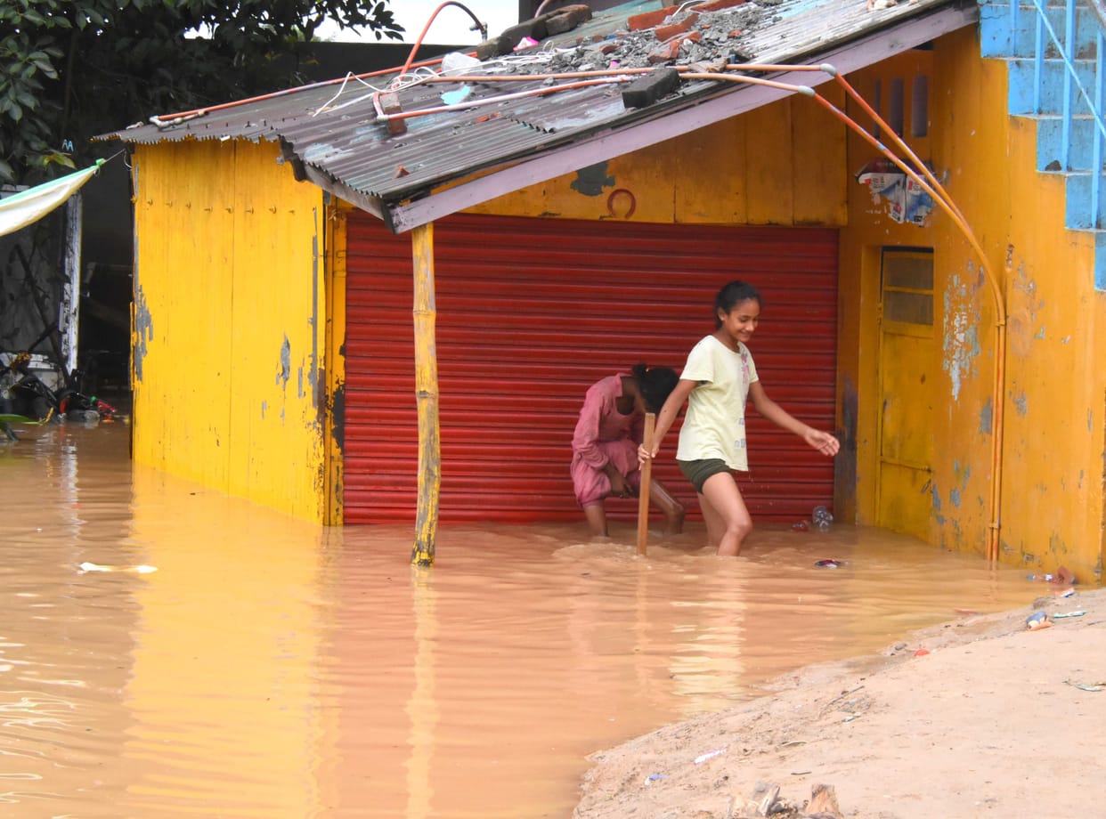 Potato crop in danger due to rain