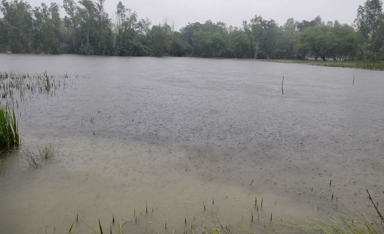 About one thousand bigha crops of farmers submerged