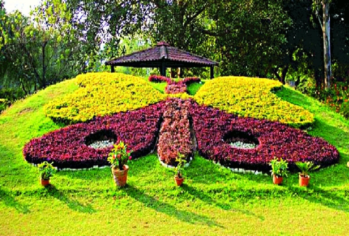 Butterfly park will be buzzing in outer Delhi in two months