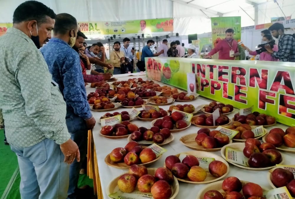 Uttarakhand News: International Apple Festival 2021 in Dehradun Photos