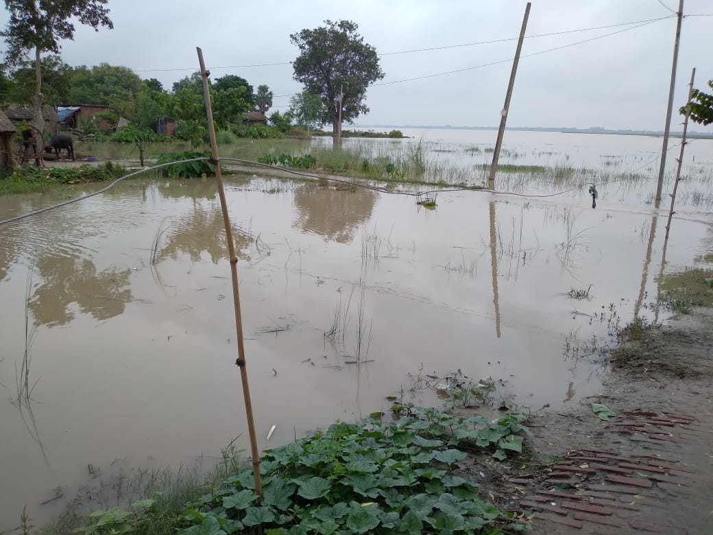flood