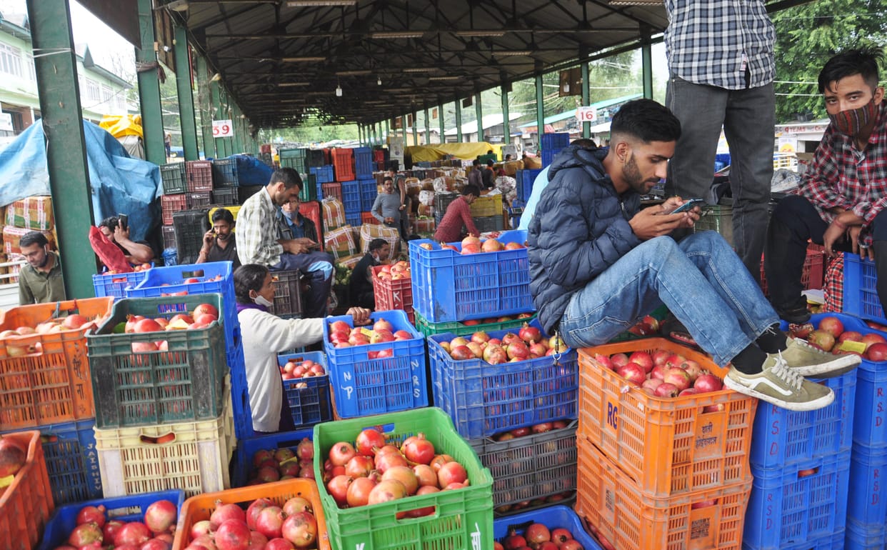 Gardeners busy in settling apple season till Dussehra festival, Rate increased by five rupees, apples sold by Rs 65 per kg, Season reached the final stage, 85 percent apple plucking