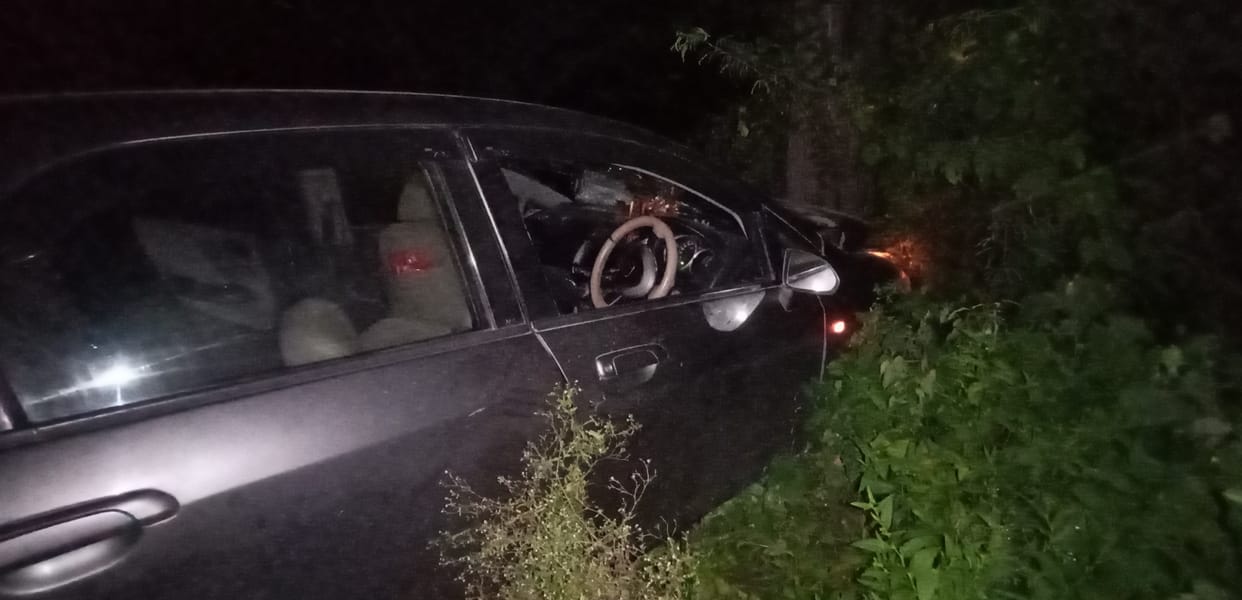 Family car returning from Vrindavan collides with tree, five injured