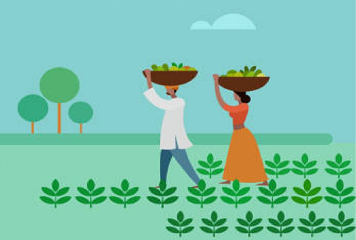 pm kisan yojana benefits know What if husband and wife applied together