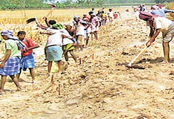 MNREGA work in all three blocks of Chail area