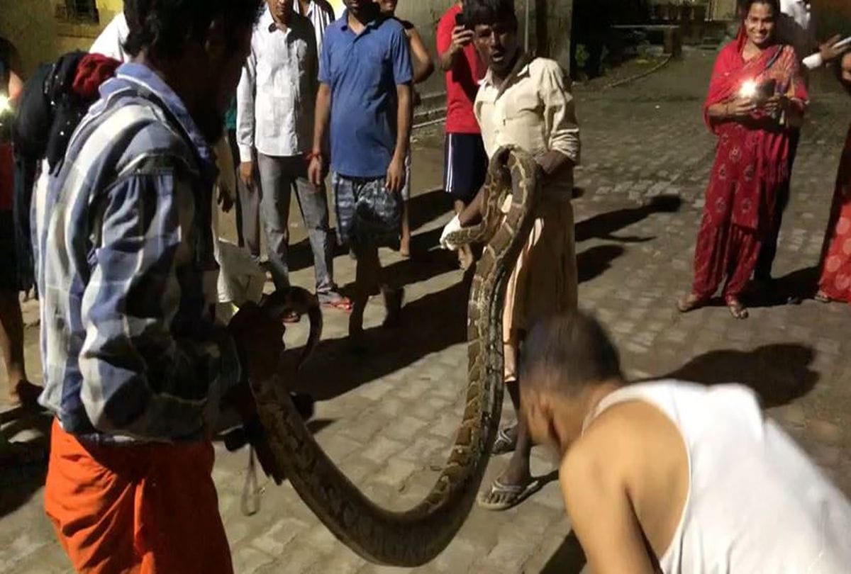 14 feet long python entered community health center fatehpuru sikri in agra