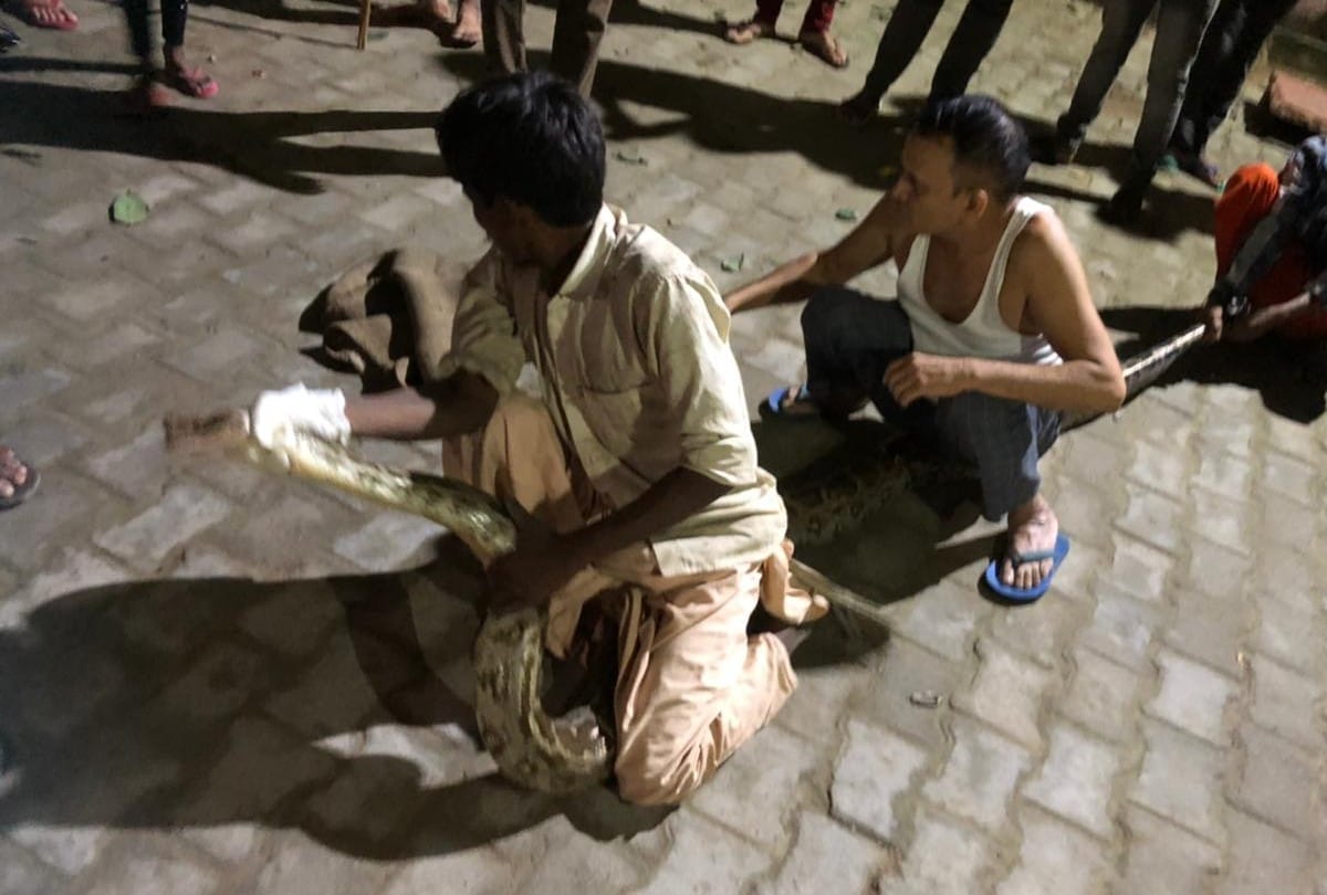 14 feet long python entered community health center fatehpuru sikri in agra