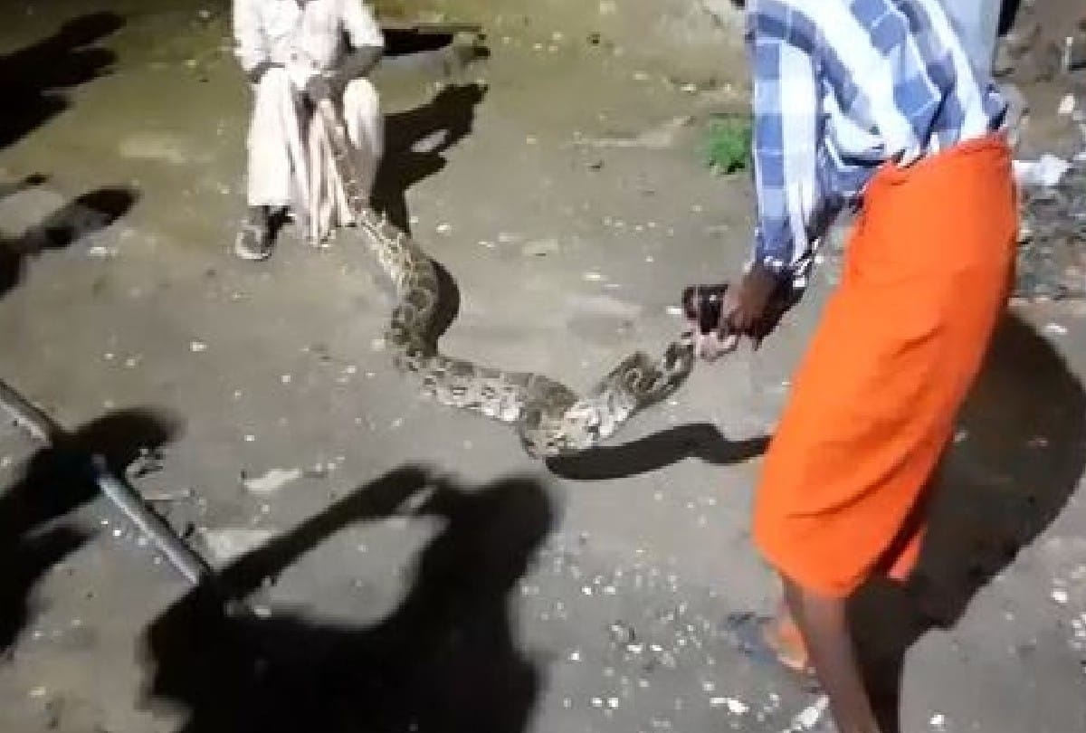 14 feet long python entered community health center fatehpuru sikri in agra