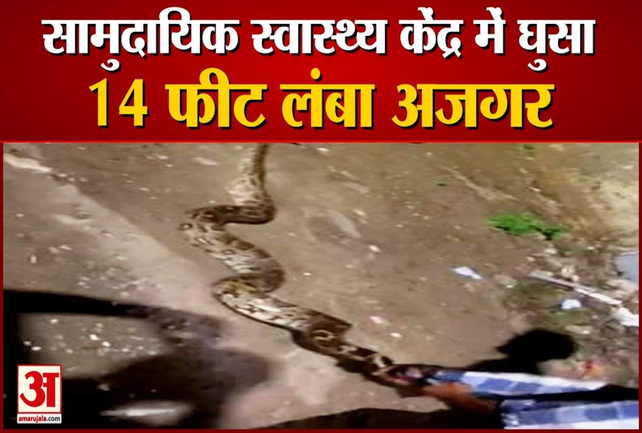 सामुदायिक स्वास्थ्य केंद्र में घुसा अजगर