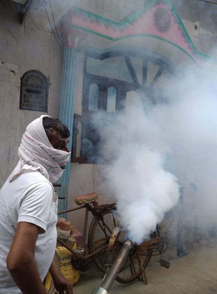inreasing dengue patients in faridabad
