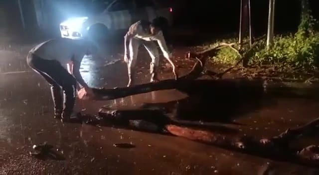 Corporation and firefighters remained standing in the rain even at night, Yamunanagar