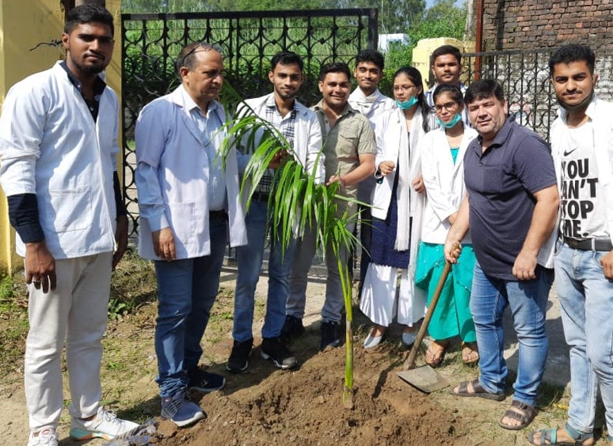 Pharmacist Day celebrated by planting saplings