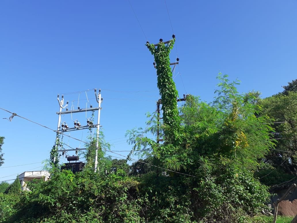bijli