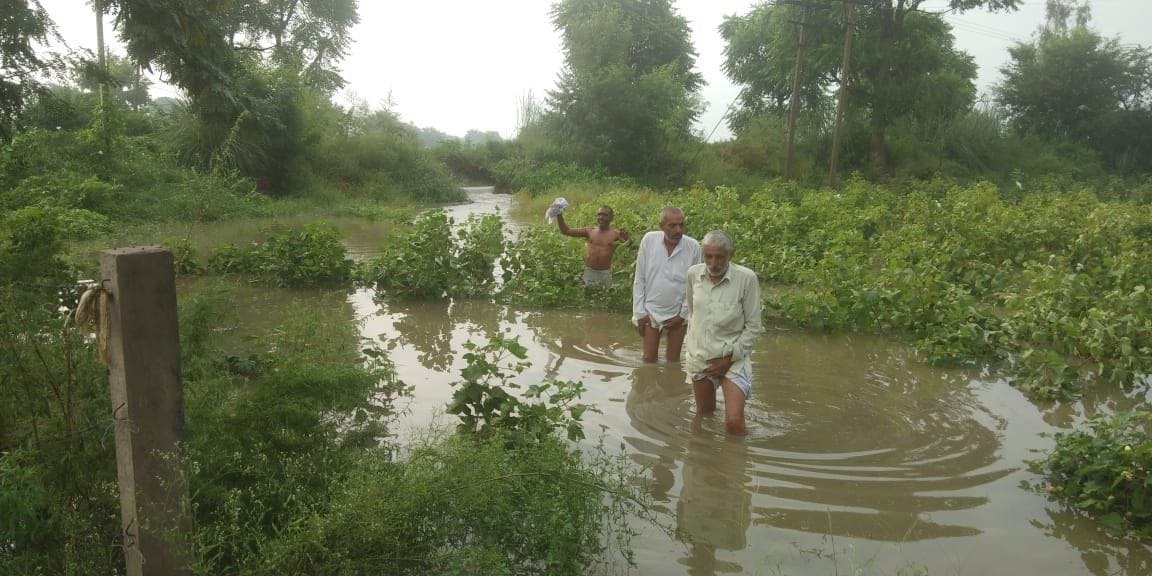 water in crop due to canal crack
