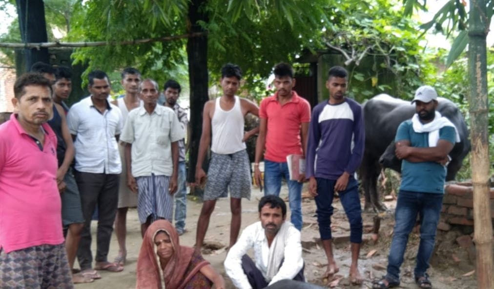 Buffalo died due to lightning, cracks in two houses