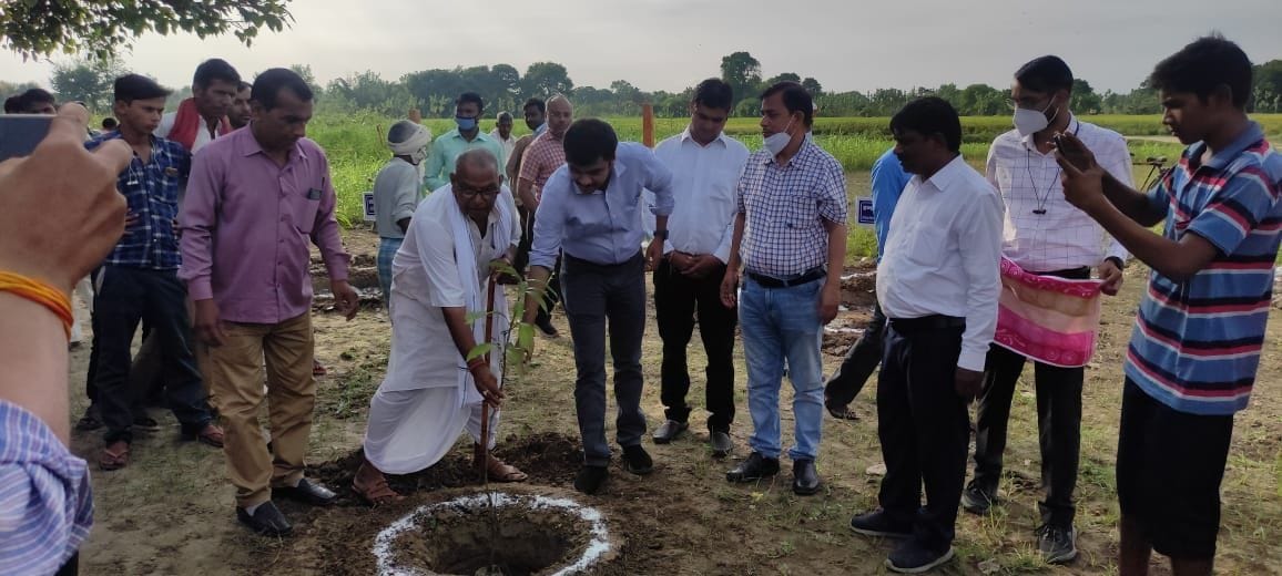 Nandan forest will be ready with MNREGA, 2400 saplings will be planted