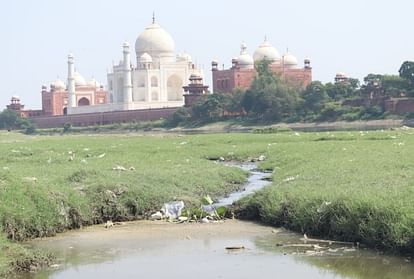 NGT expressed displeasure over report filed by agra Municipal Corporation on pollution reaching Yamuna river