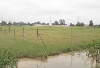 New disclosure in the case of fake registry of civil judge's mother's land