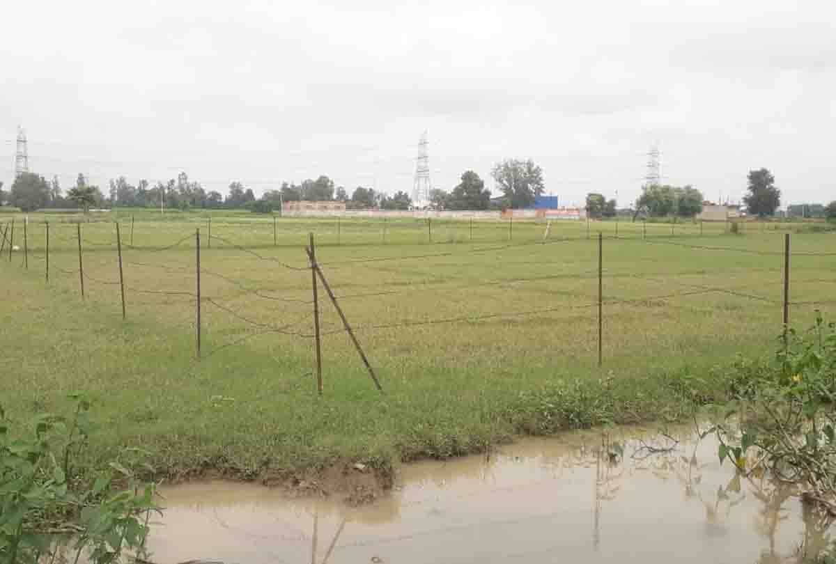 इसी भूमि का हुआ फर्जी बैनामा