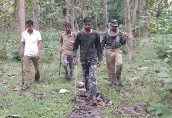 Nepalese elephant herd returned to Dudhwa Tiger Reserve from Mohammadi