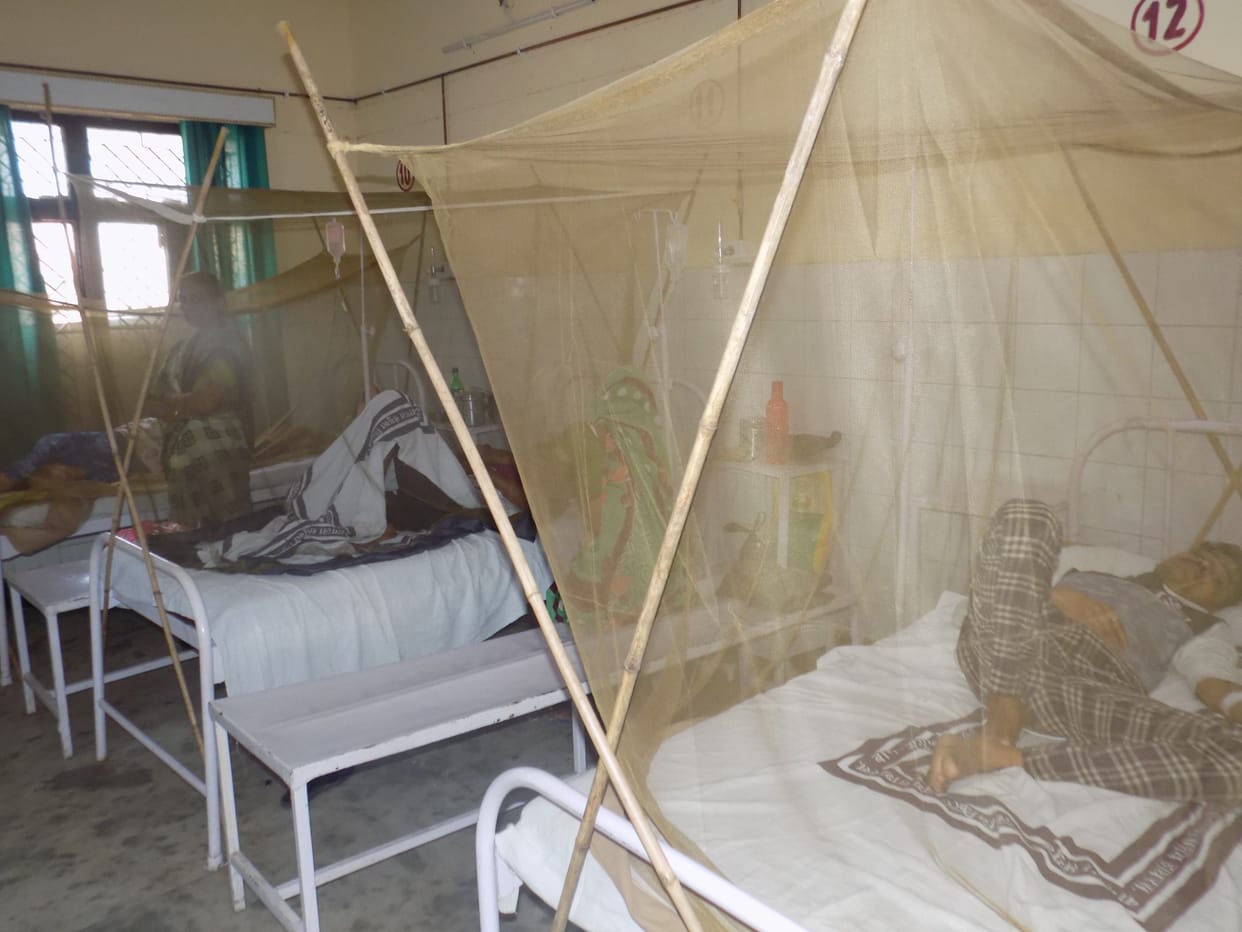 Hathras: Three more dengue patients found in the district