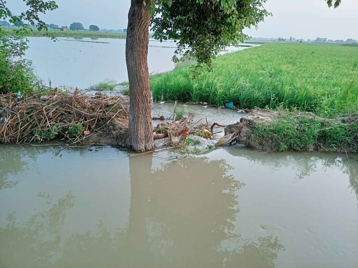 Hathras: Crops of farmers submerged due to sudden water coming in Rajbhe