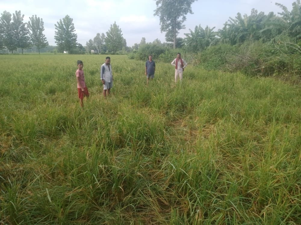 Elephant Rancaks Field