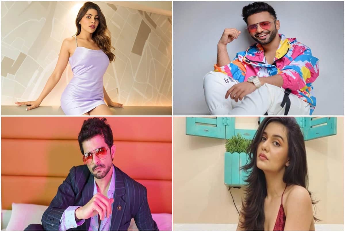 TV: Reality shows gave new identity to these artists overnight became famous among people