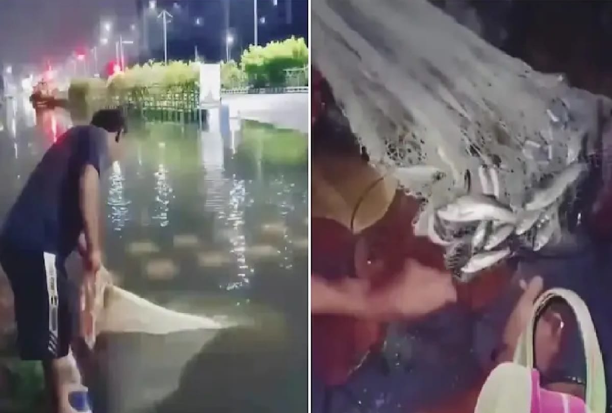 Fishing in troubled waters mamata banerjee west bengal Kolkata residents fish on waterlogged streets