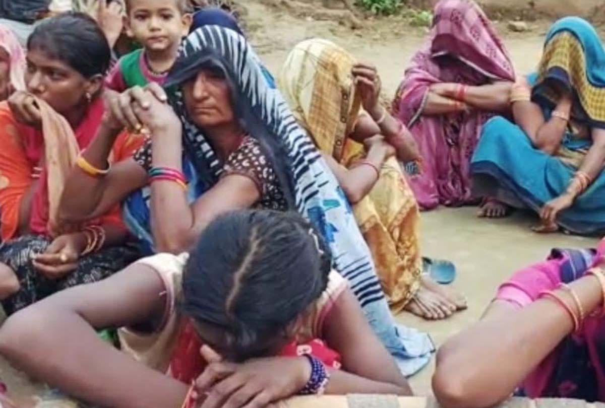 Hamirpur: Farmer guarding the field dies of snakebite, chaos in the house