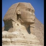 sphinx