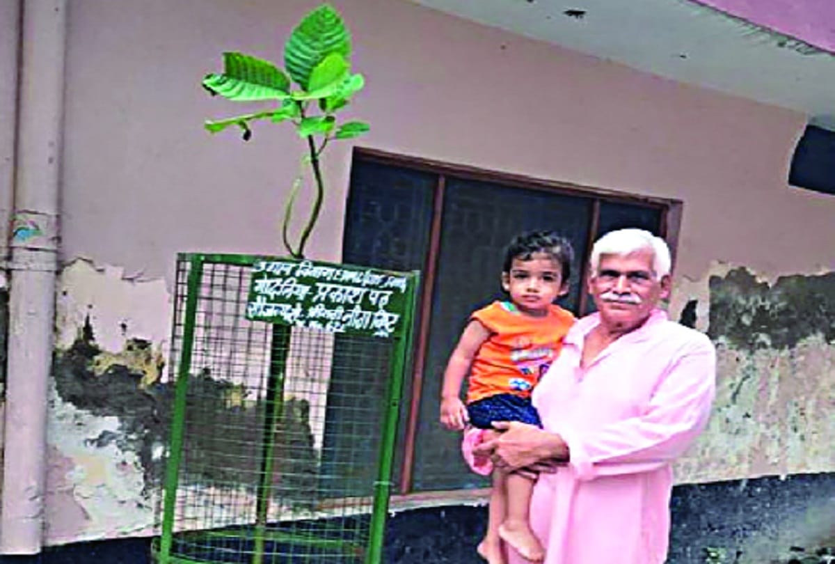  Adopt a tree: East Delhi people adopted 1800 trees