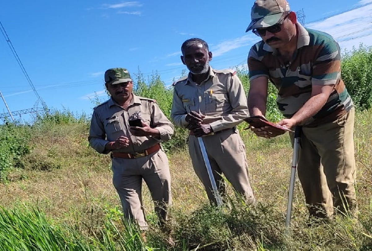 giant python swallowed alive baby of nilgai in Sonebhadra people were stunned see photos