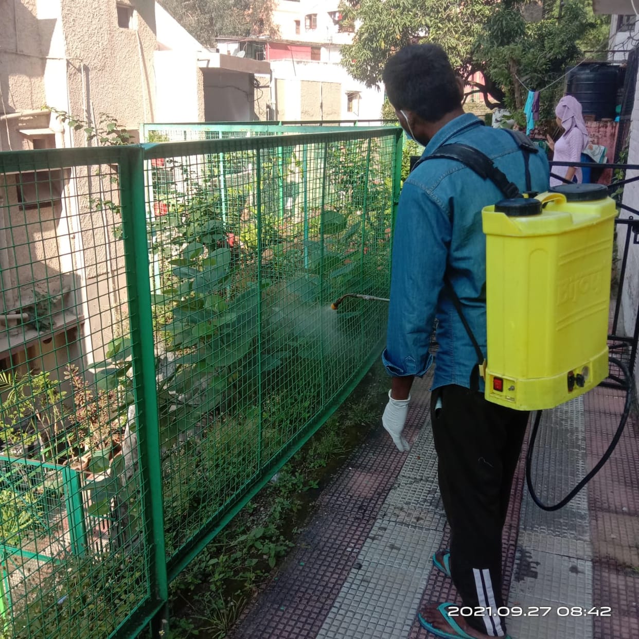 Dengue outbreak in Parvanoo 32  found infected in 15 days