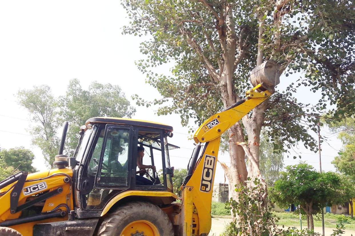 Opposed the uprooting of peepal tree