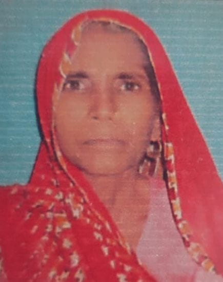 Max car tramples bike rider mother and son, woman dies