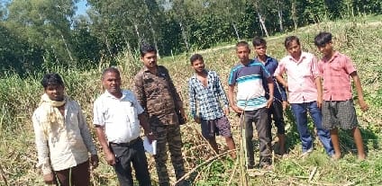 Elephants now destroy crops in Unchakheda village