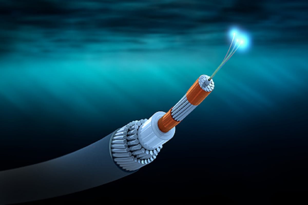 Niti Aayog member to halt the government tender of strategic Rs 1072 crore Kochi Lakshadweep Islands optic fibre project